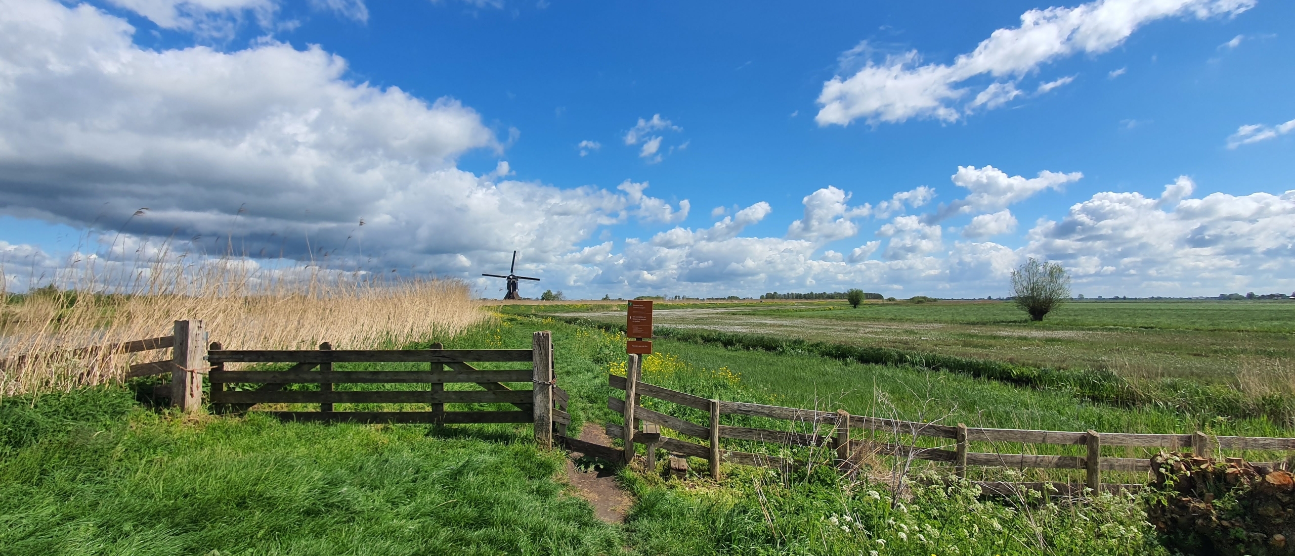 ACTION PLAN RURAL AREA ALBLASSERWAARD