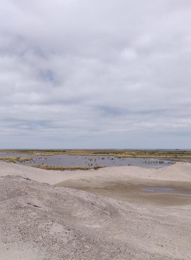 Marker wadden: Schoon vervoer naar nieuwe natuur